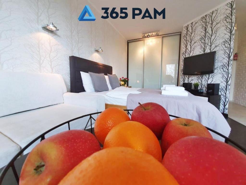 Europa Apartament - 365Pam コウォブジェク エクステリア 写真