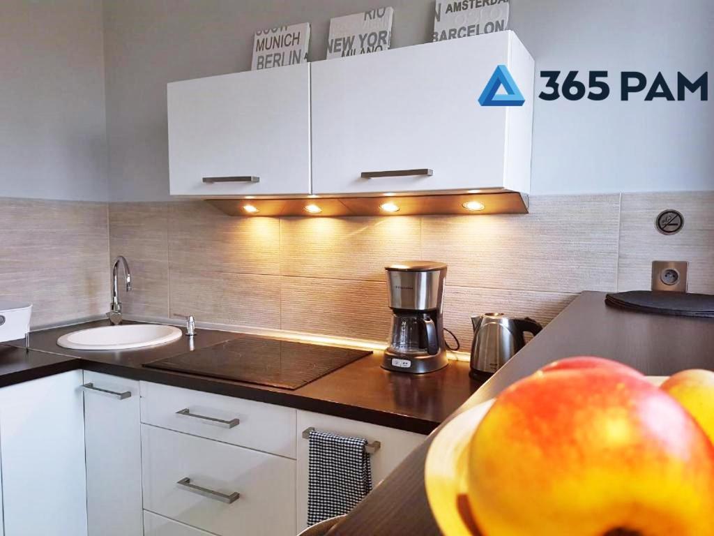 Europa Apartament - 365Pam コウォブジェク エクステリア 写真