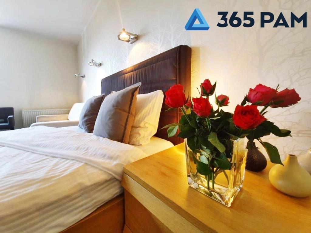 Europa Apartament - 365Pam コウォブジェク エクステリア 写真